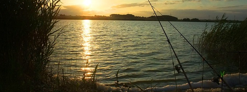 Lakeside fishing